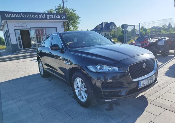 jaguar f-pace Jaguar F-Pace cena 84900 przebieg: 150734, rok produkcji 2017 z Michałowo